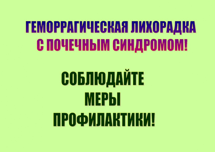 О профилактике геморрагической лихорадки с почечным синдромом в осенний период